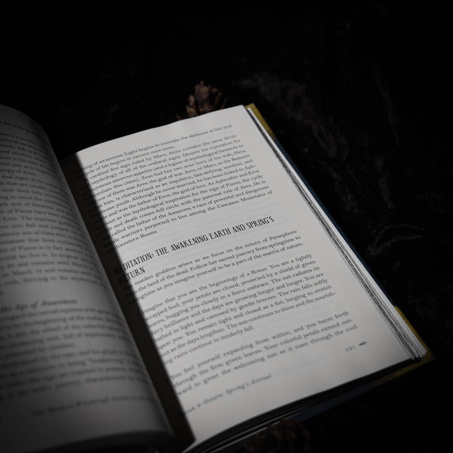Bok ✦ Modern Witchcraft ✦ Wheel of the year