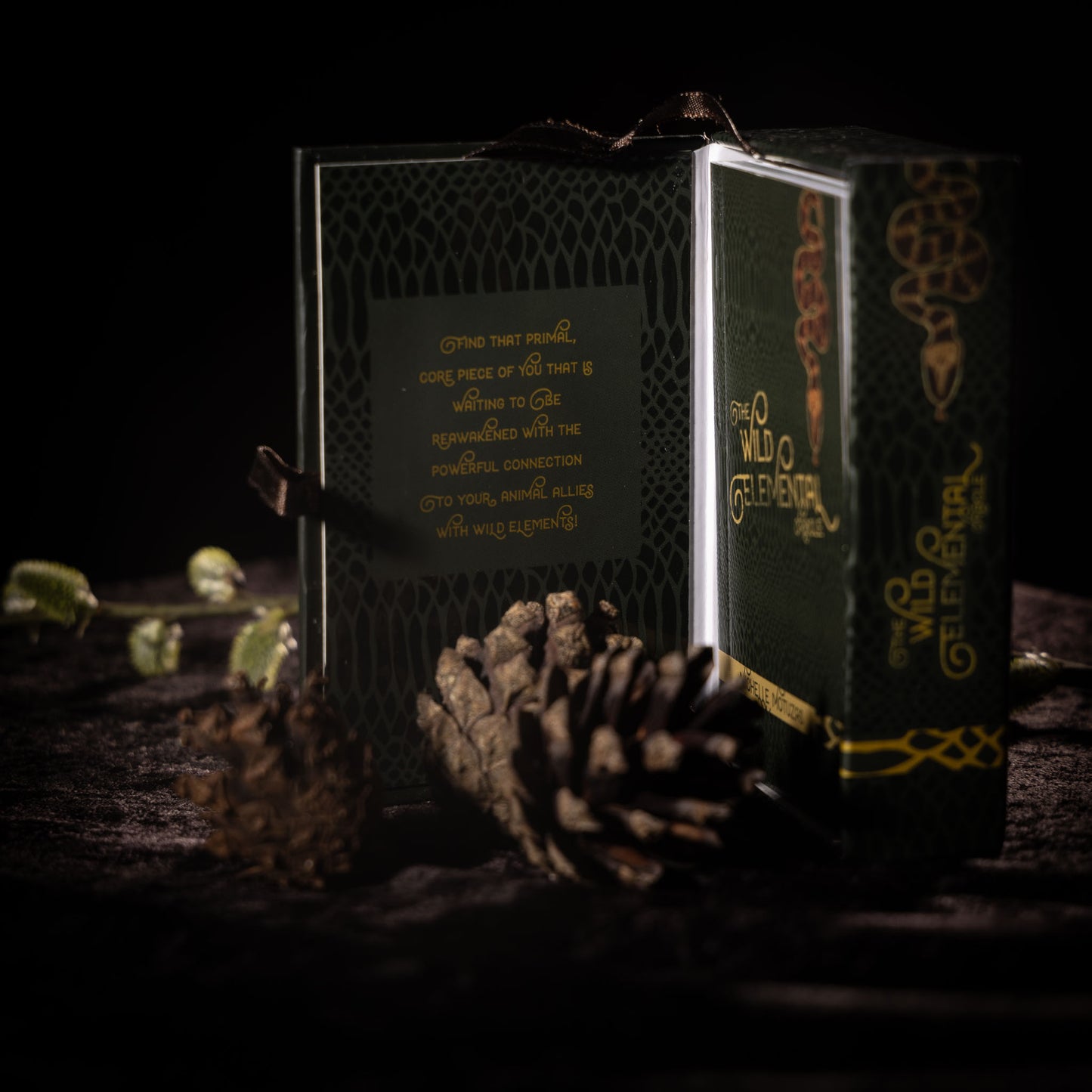 Orakelkort ✦ The Wild Elemental Oracle
