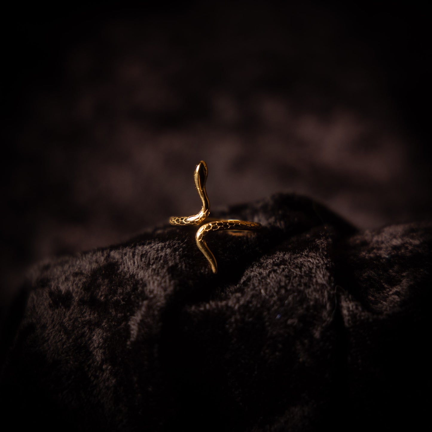 Ring ✦ Orm
