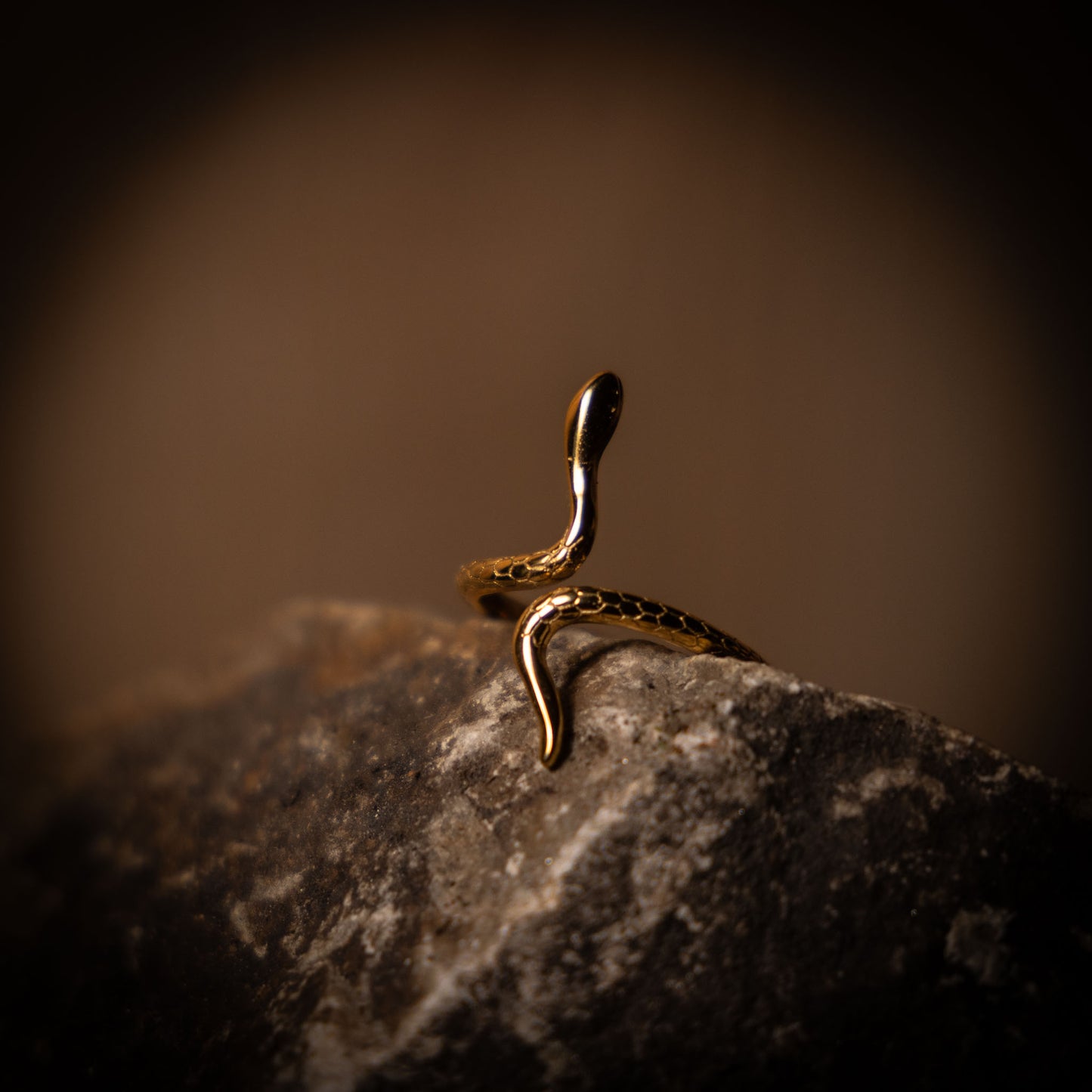 Ring ✦ Orm