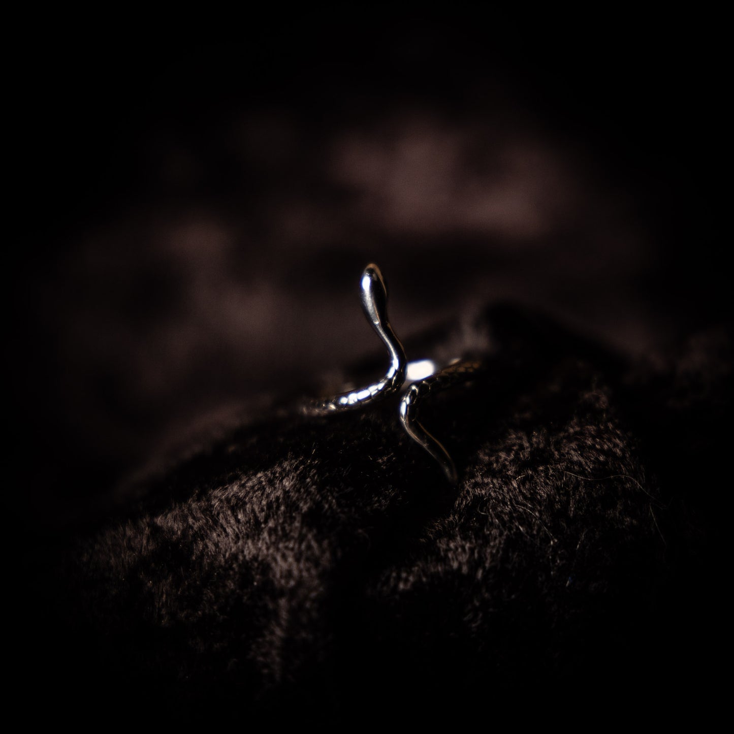 Ring ✦ Orm
