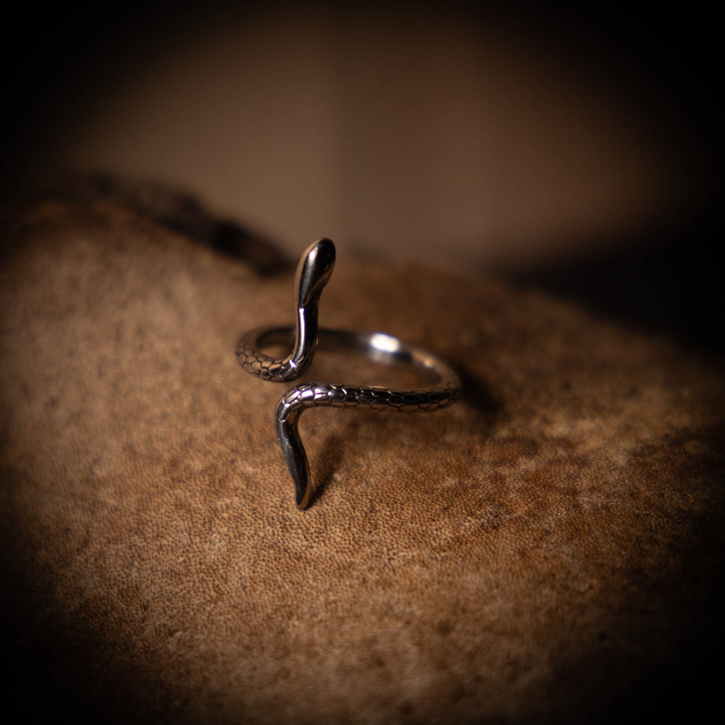 Ring ✦ Orm