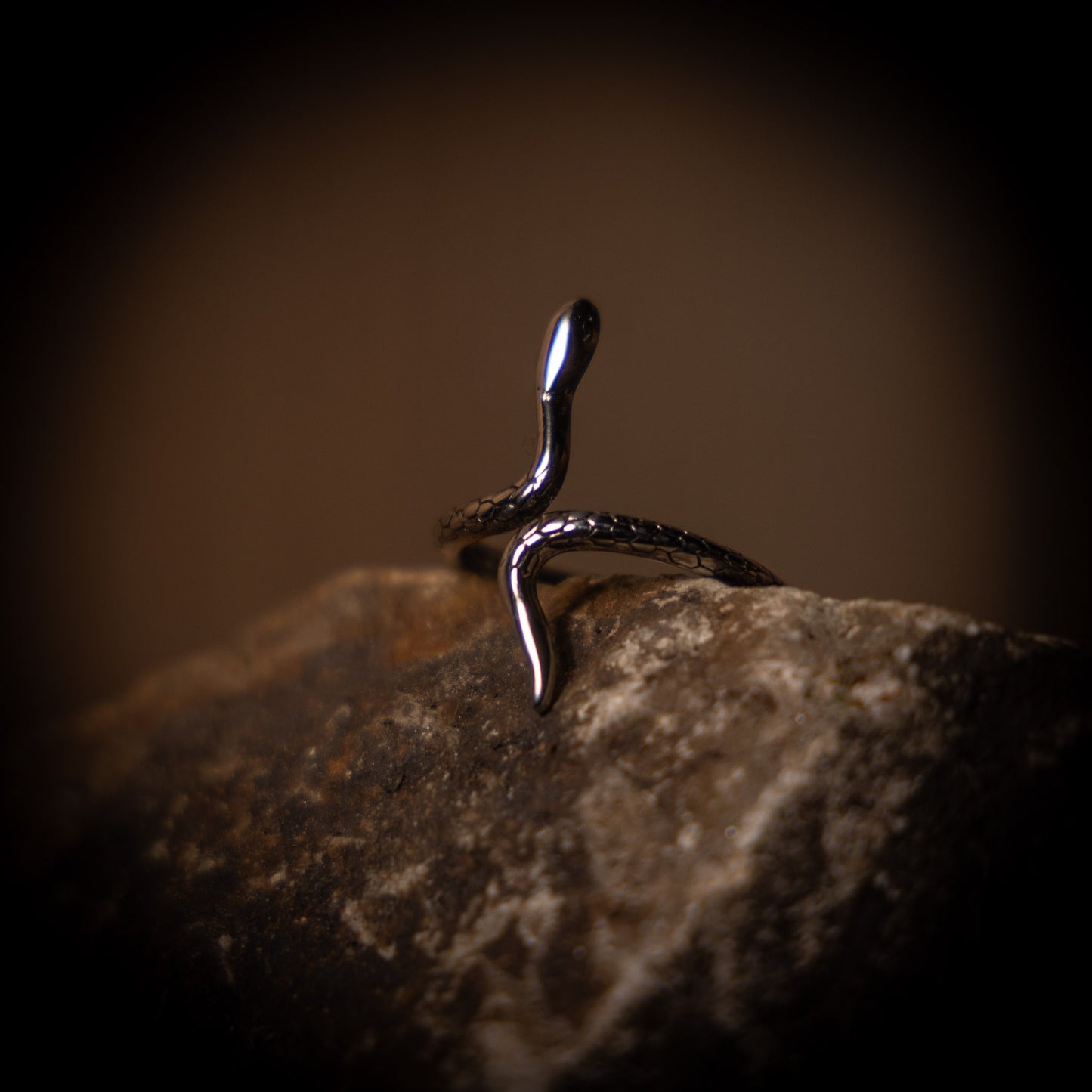 Ring ✦ Orm