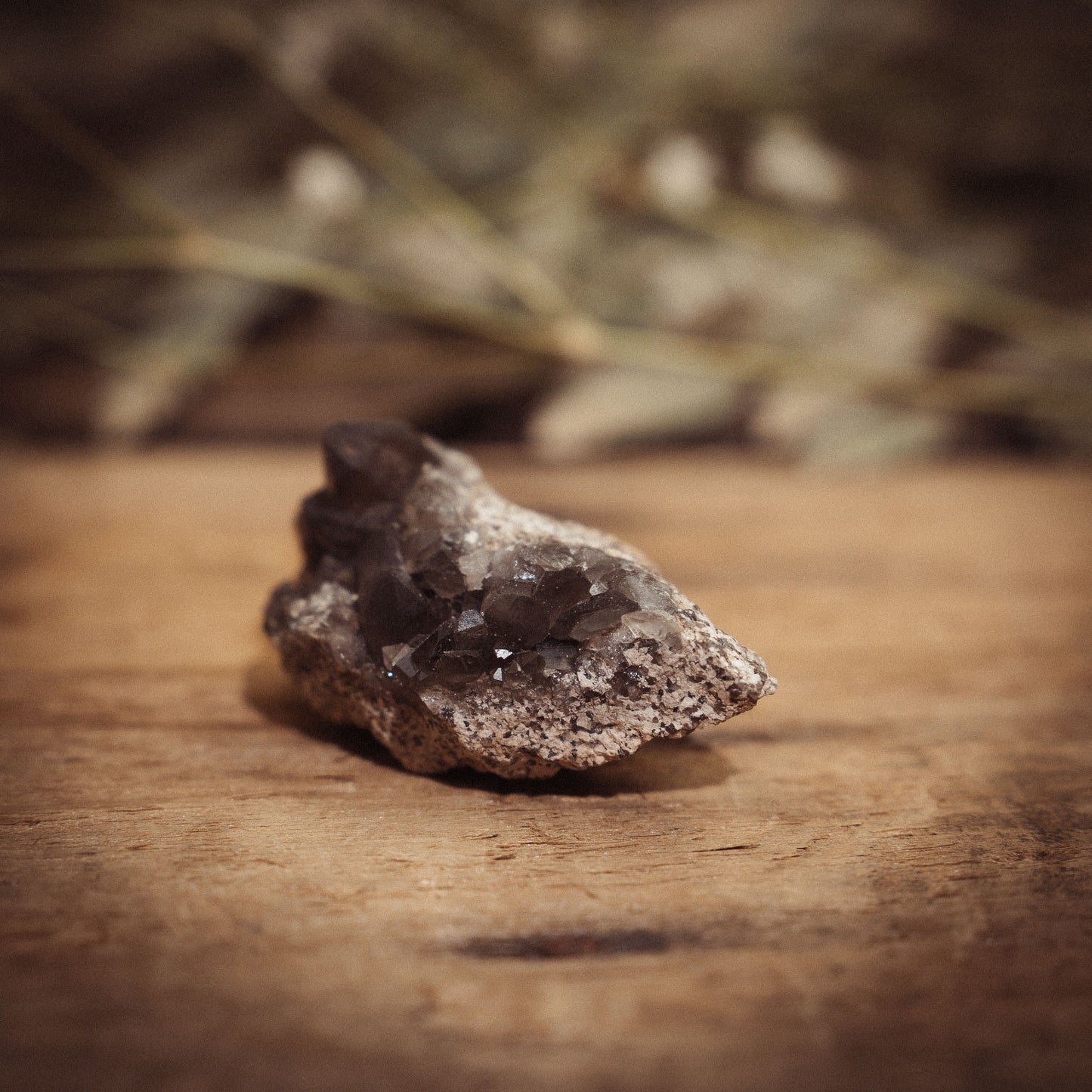 Rökkvarts ✦ Litet kluster