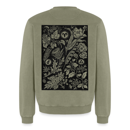 Väduren ✦ Stjärnvisaren 2027 ✦ Sweatshirt - grön syratvättad
