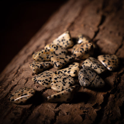 Dalmatinerjaspis ✦ Tumlad sten