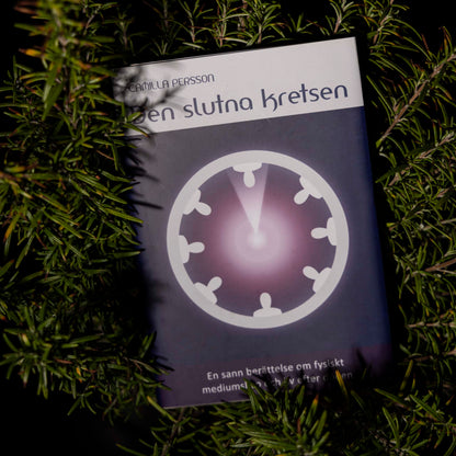 Bok ✦ Den slutna kretsen ✦ Camilla Persson