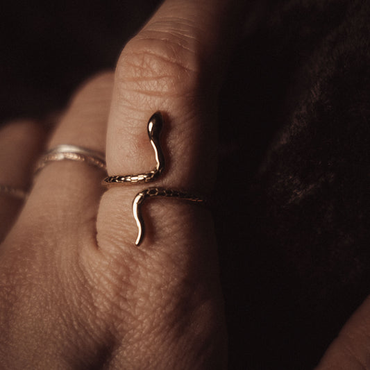 Ring ✦ Orm