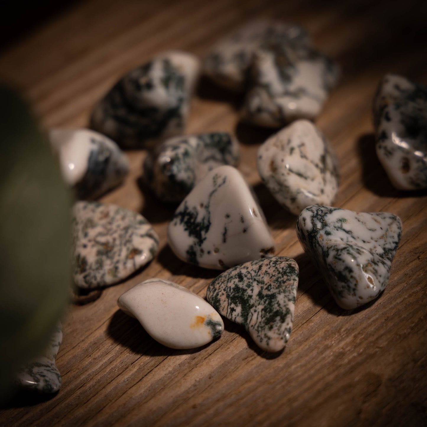 Trädagat ✦ Tumlad sten